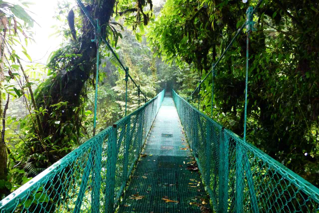 Hängebrücke Monteverde Extremo Park