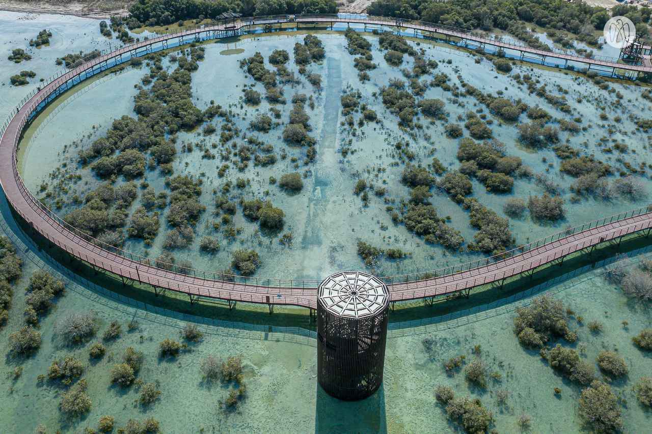 Mamsha Al Mugheirah Mangrove Walk