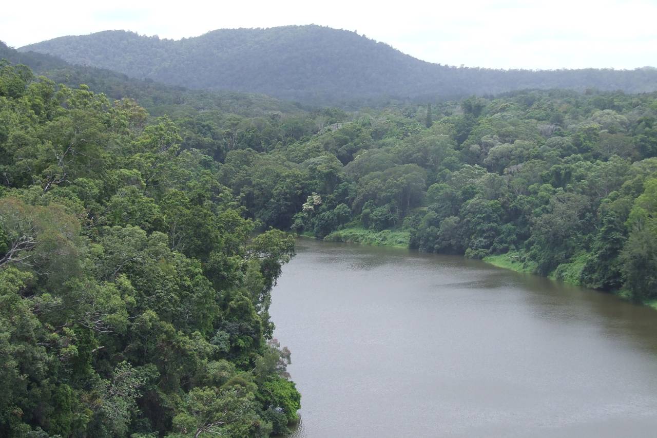 Stausee des Barron River bei Kuranda