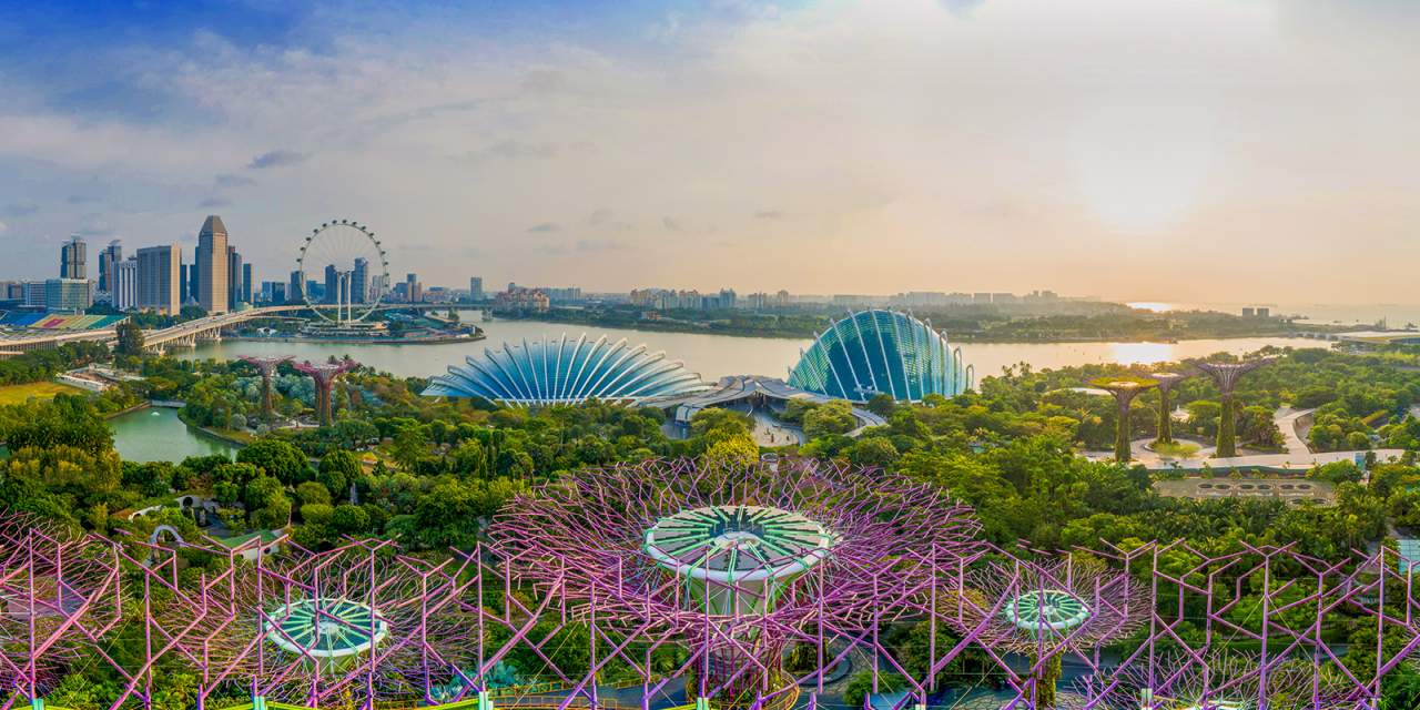 Supertree Observatory Singapur