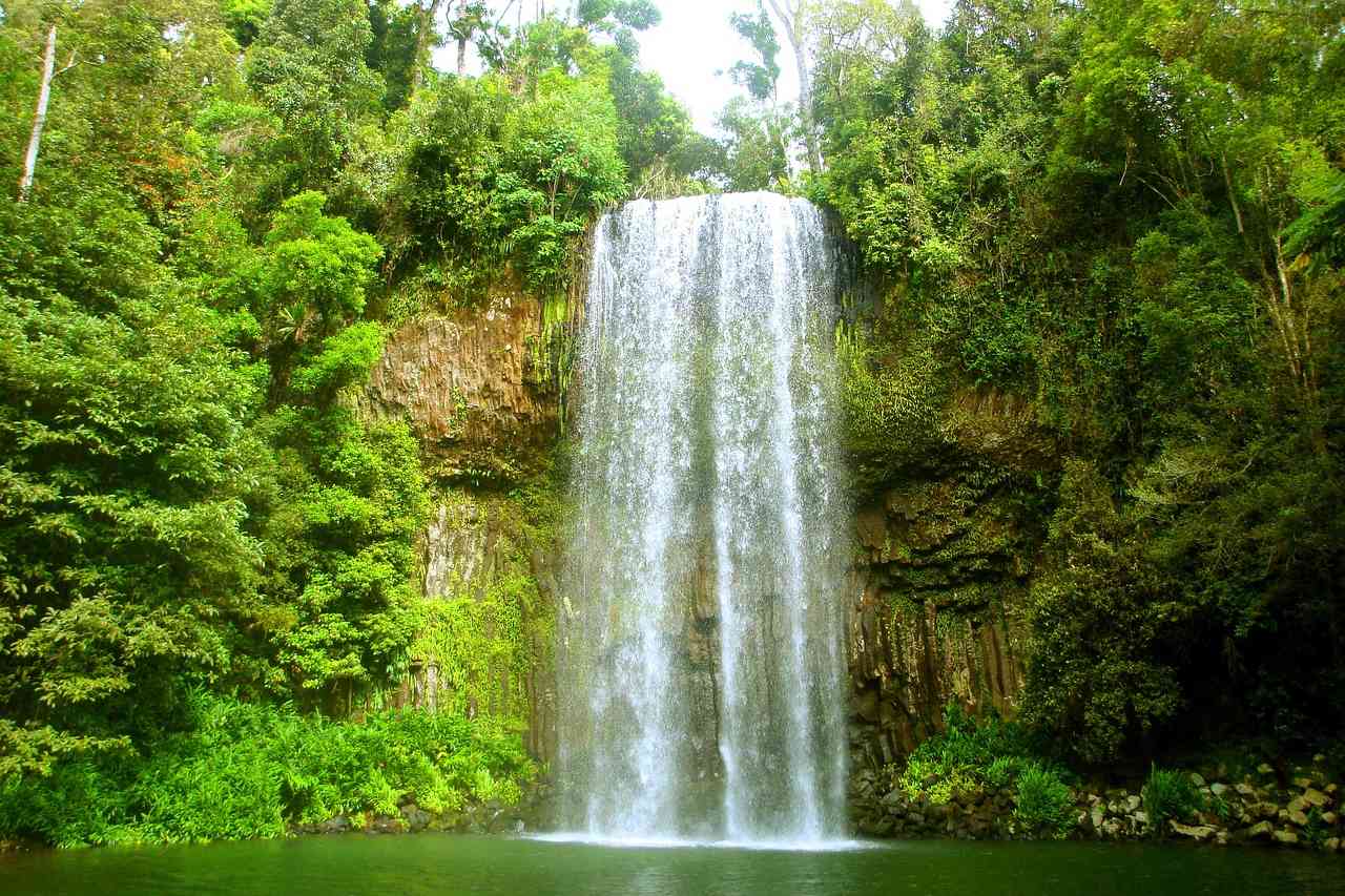 Wasserfall Regenwald Queensland