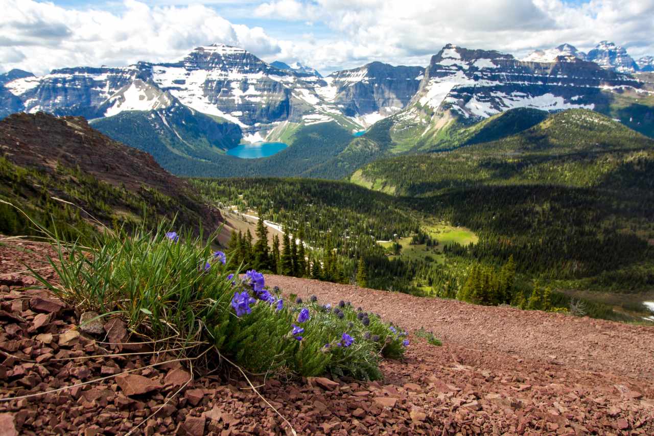 Landschaft mit Bergsee im Waterton Lakes National Park