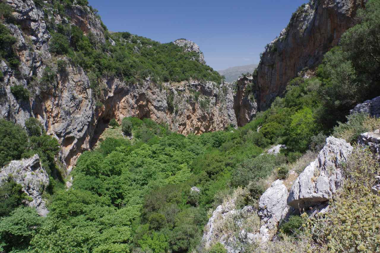 Schlucht von Patsos Vegetation