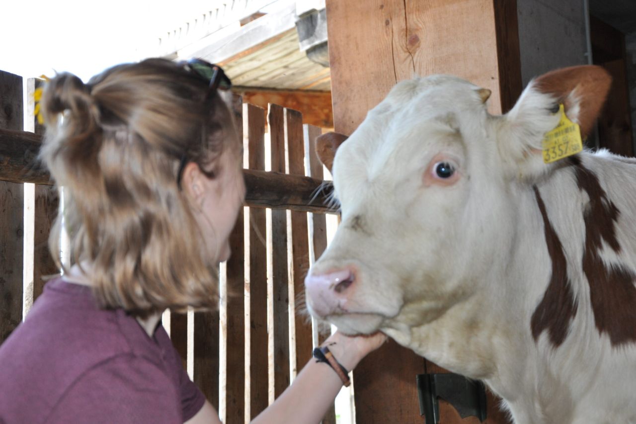 Tierpflege Freiwillig am Bauernhof