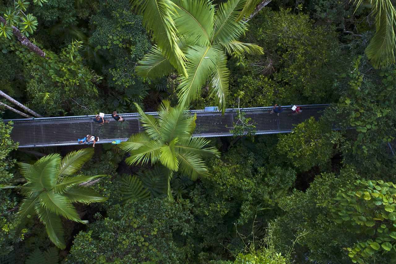 Baumwipfelpfad Daintree Discovery Centre