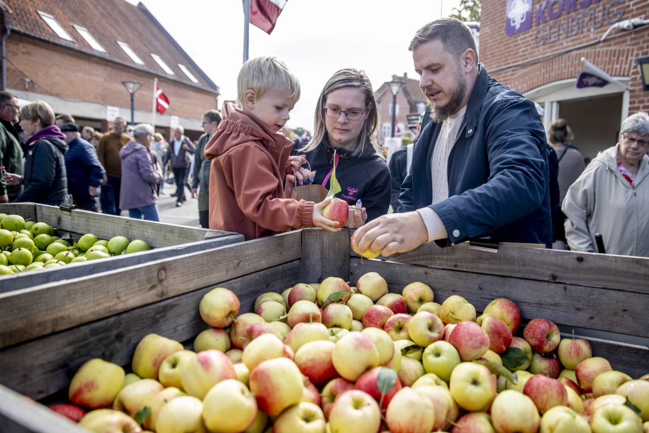 Besucher beim Sydhavsøernes Frugtfestival