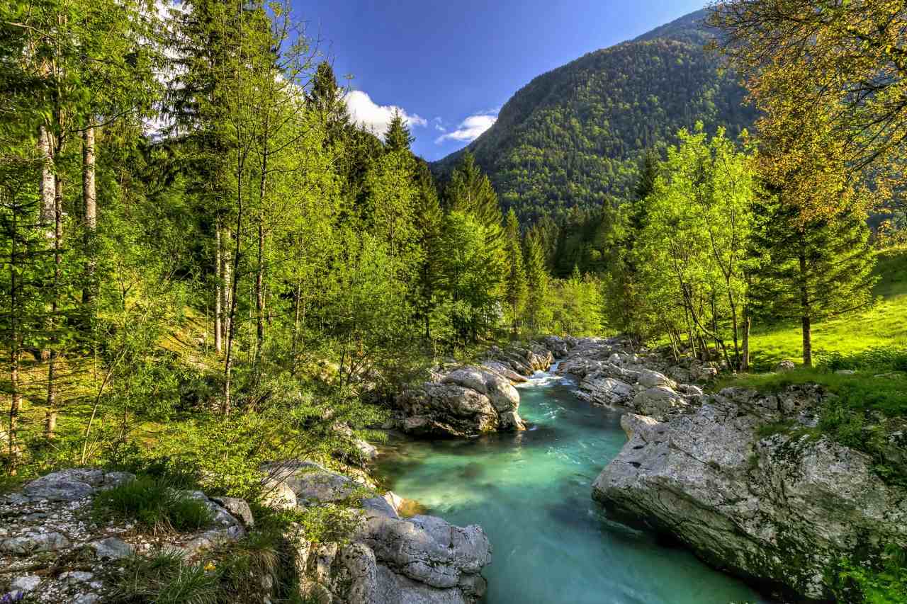 Slowenien grüne Natur