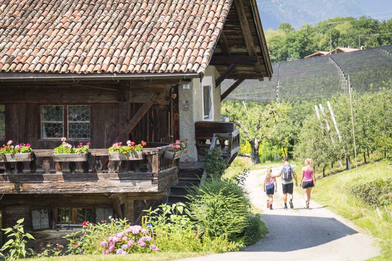 Wandern auf dem Wein- und Apfelthemenweg Schenna