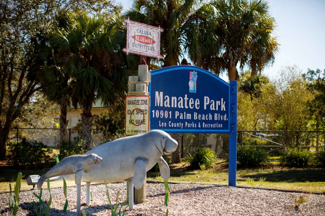 Lee County Manatee Park bei Fort Myers