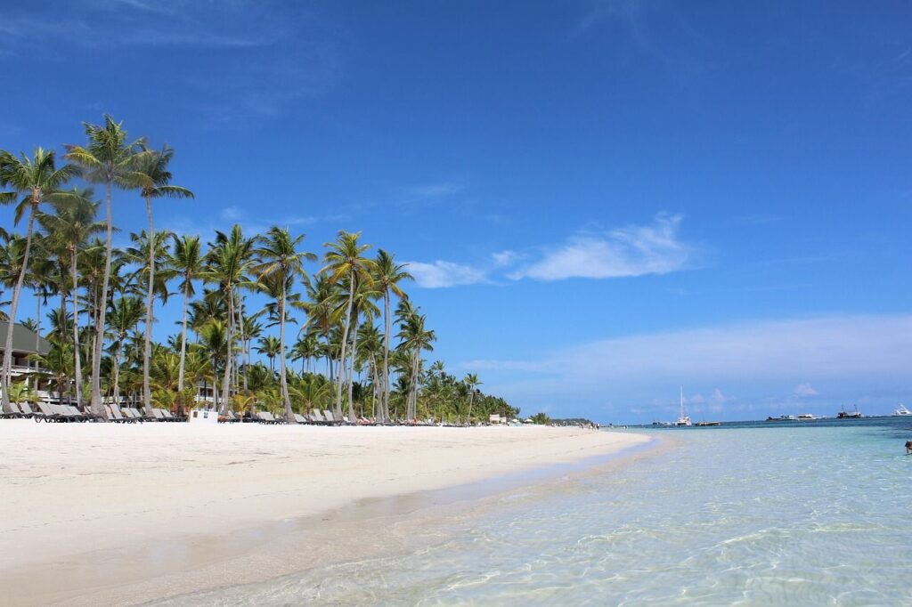 Punta Cana Palmenstrand