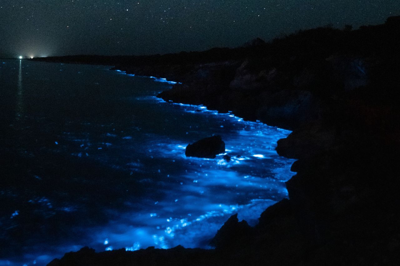 Leuchtende Algen vor Port Lincoln in Südaustralien. Biolumineszenz.