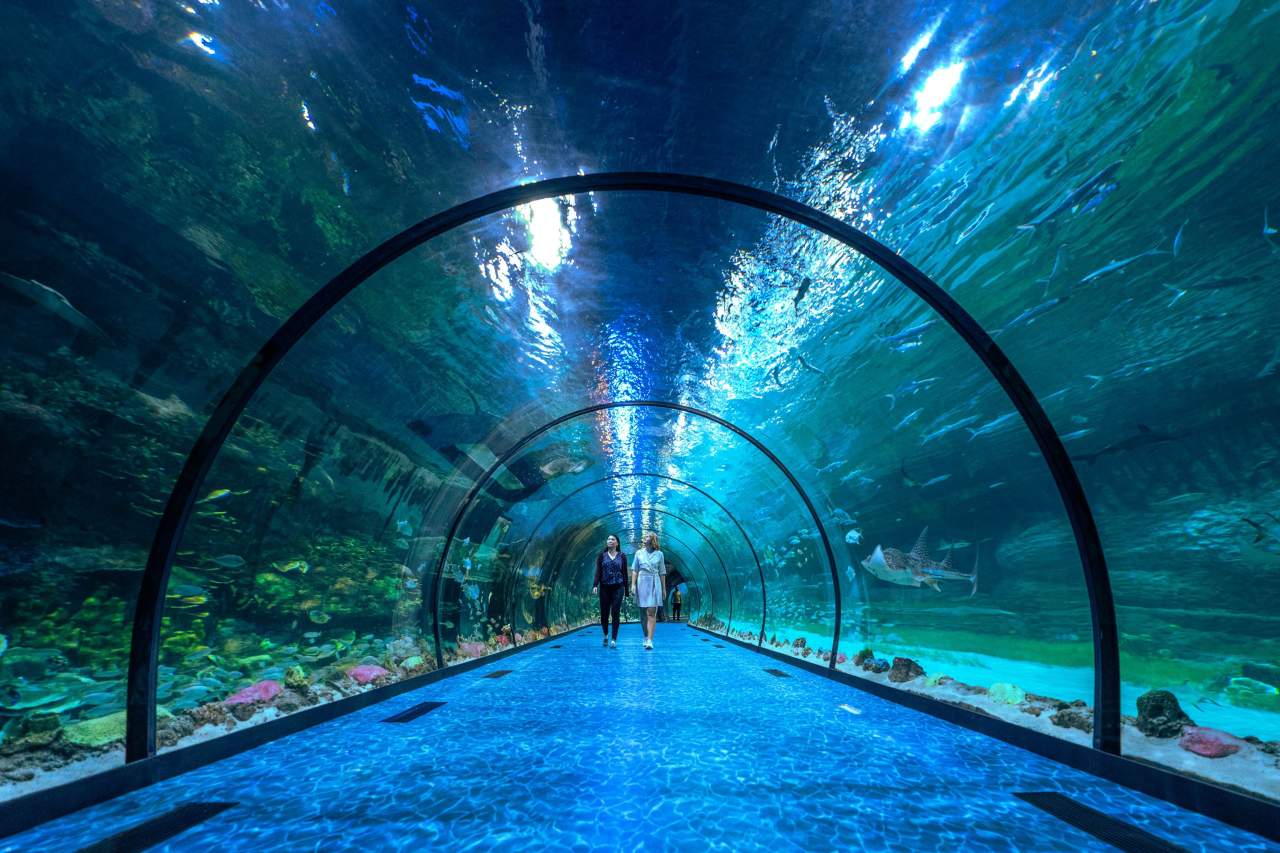 Unterwasserweg im National Aquarium Abu Dhabi