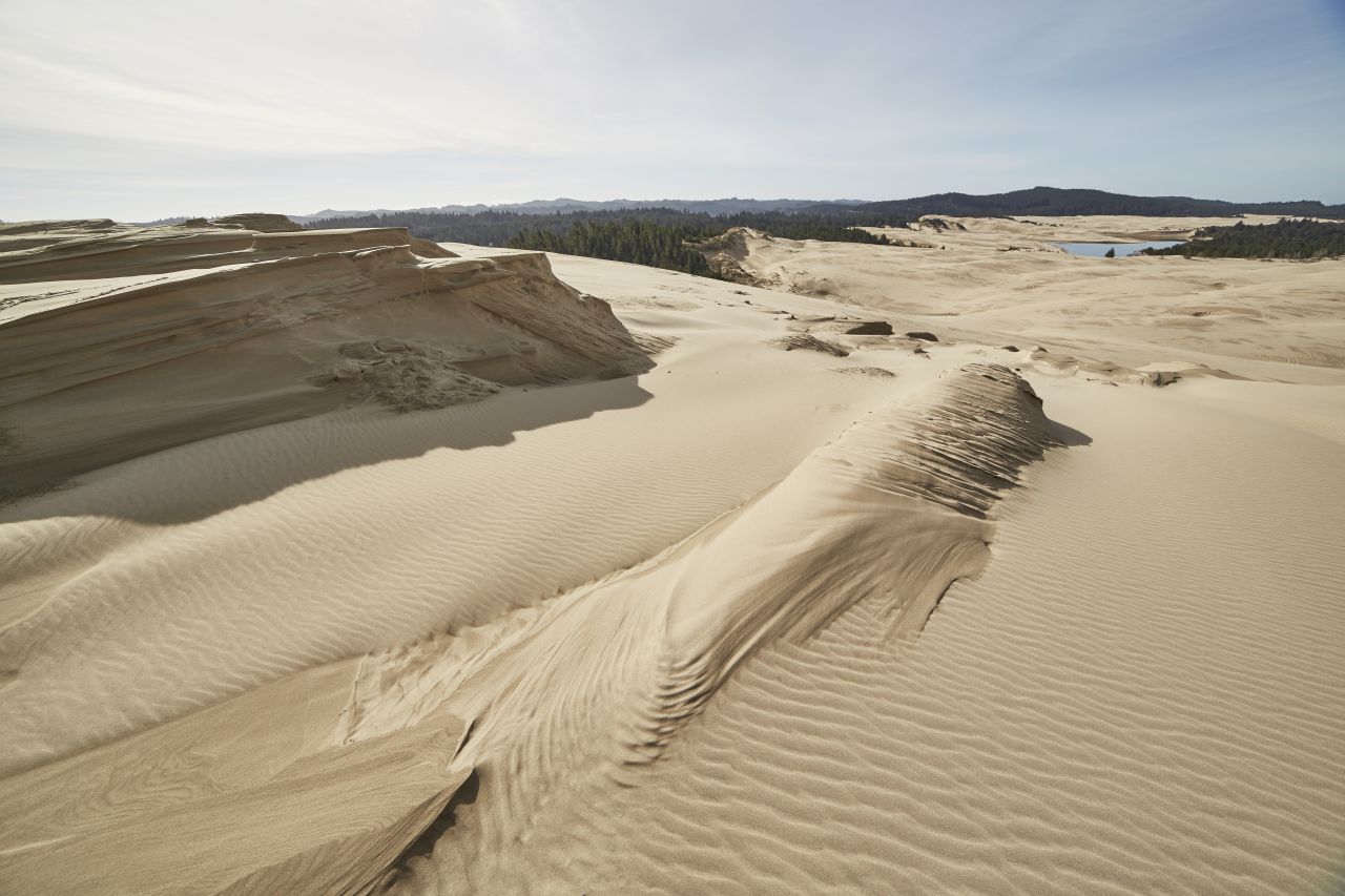 Oregon Dunes Dünengebiet Pazifikküste Oregon