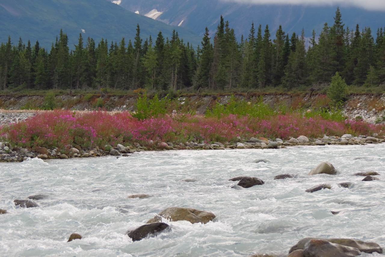 Tatshenshini-Alsek Flusssystem