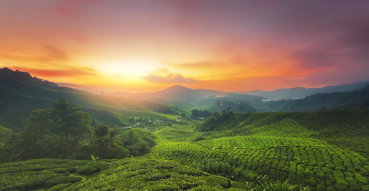 Sonnenuntergangsfarbenspiel in den Cameron Highlands