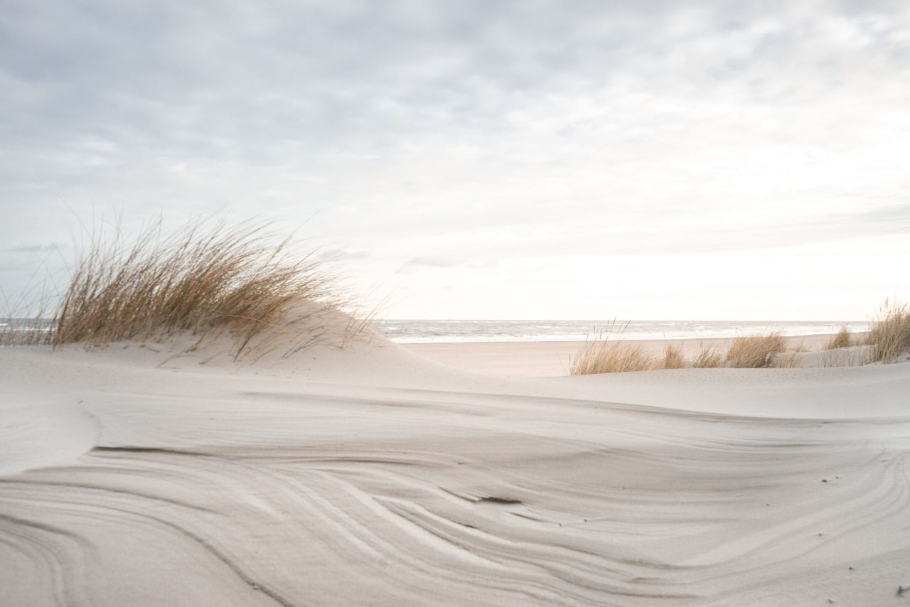 Stranddüne auf Spiekeroog