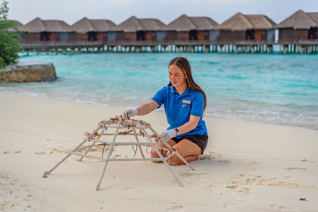Meeresbiologin Katelyn Hegarty-Kelly Adopt a Coral