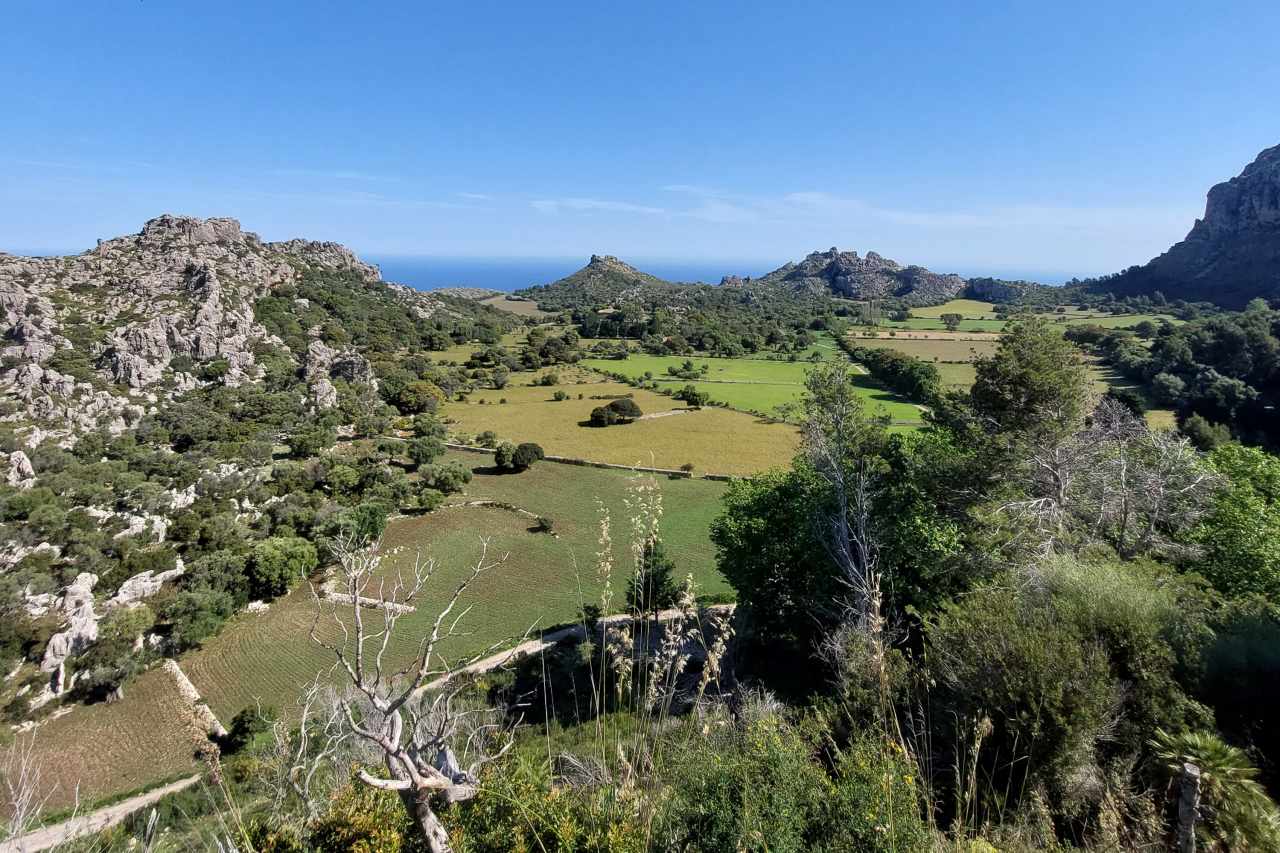 Ariant mediterranes Naturerlebnis auf Mallorca