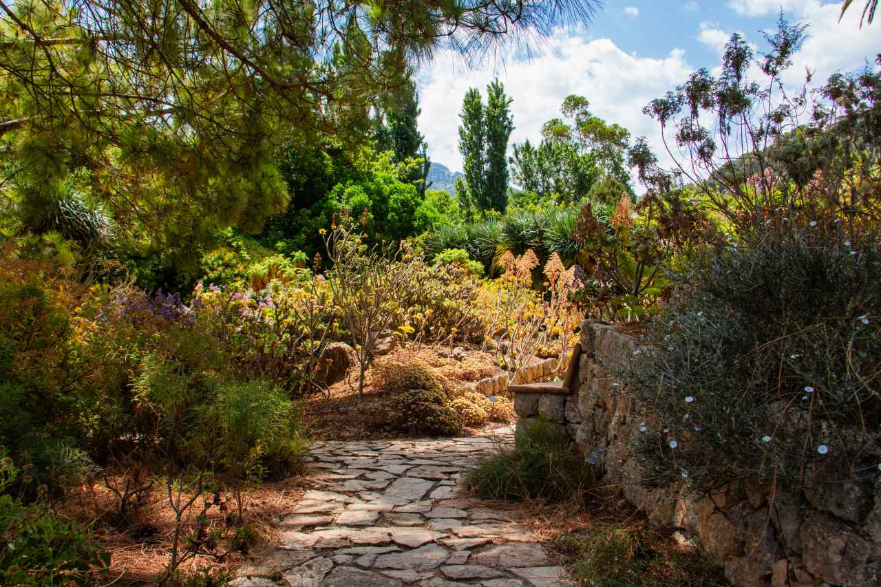 Pflanzenvielfalt im Botanischen Garten von Soller