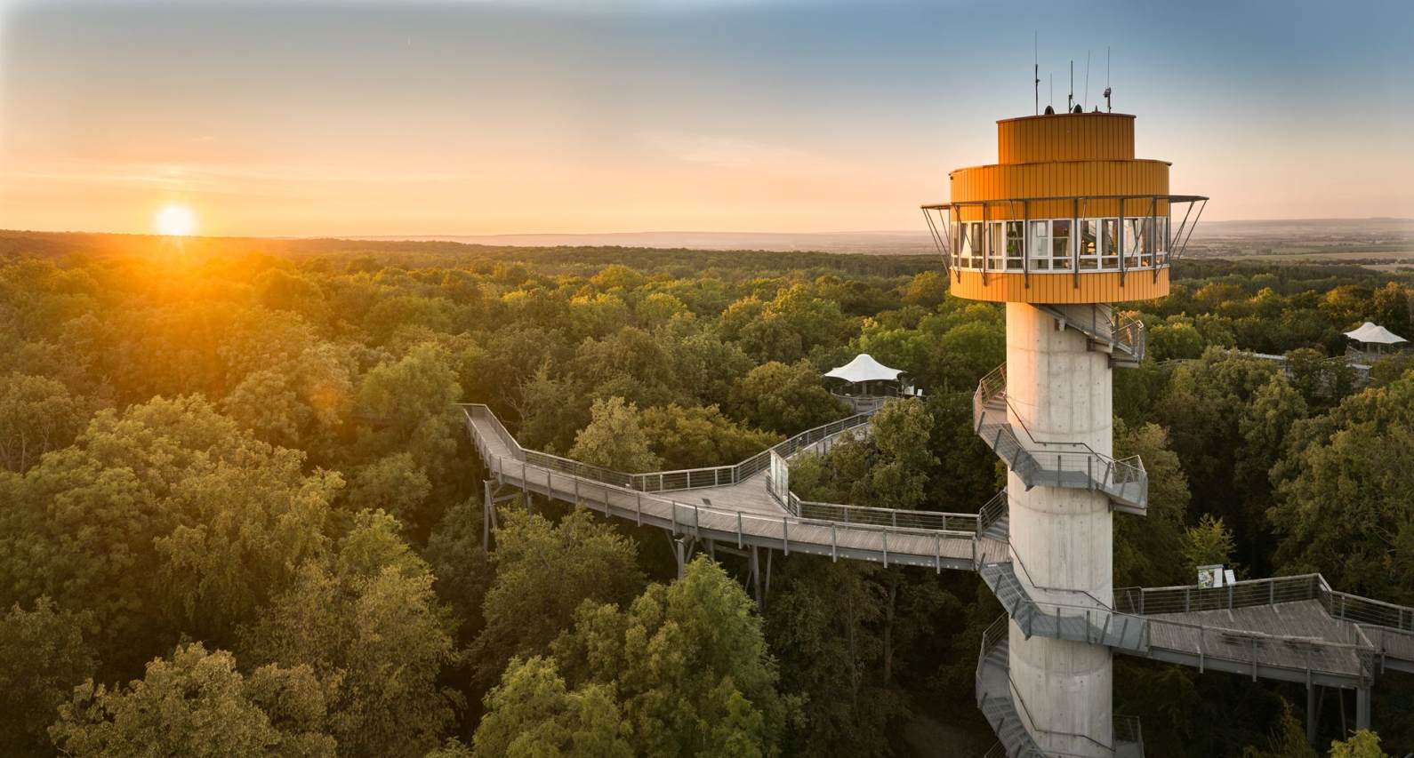 Baumkronenpfad Hainich Sonnenntergang Nationalpark Hainich