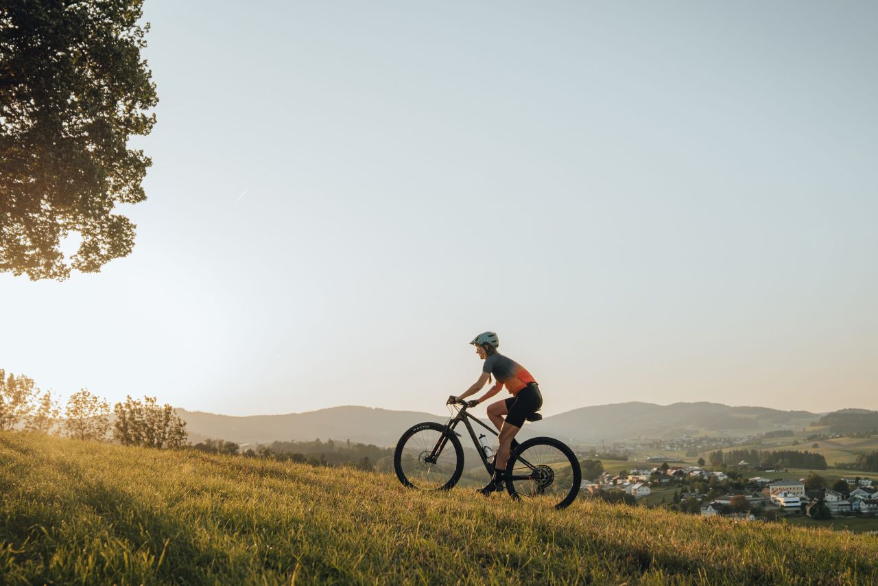 Mountainbiken oberhalb des Donauradwegs