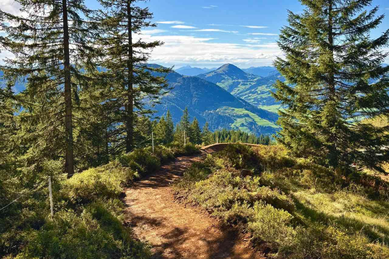 Kirchberg Trail Aussicht