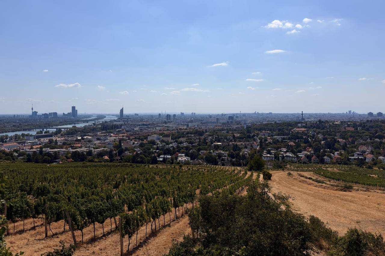 Wien Panorama Weinberge