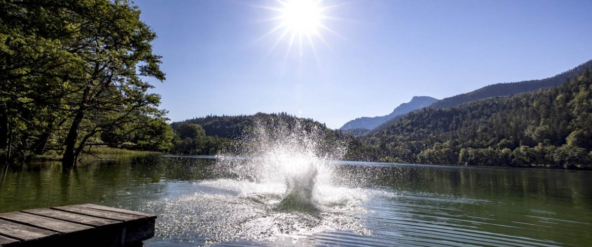 Abkühlung im Thumsee