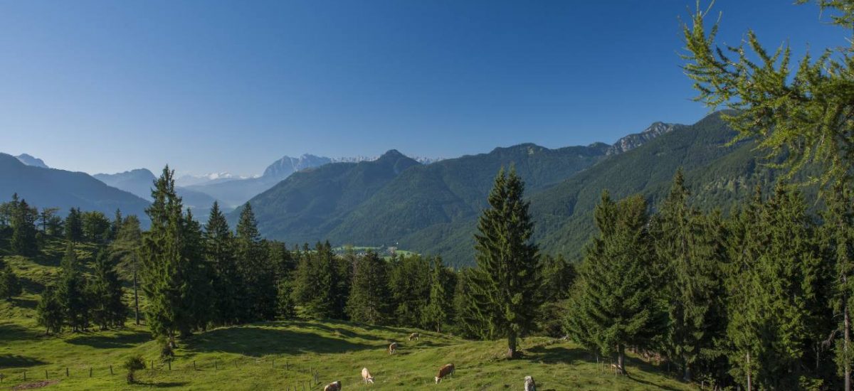 Almenlandschaft im Chiemgau