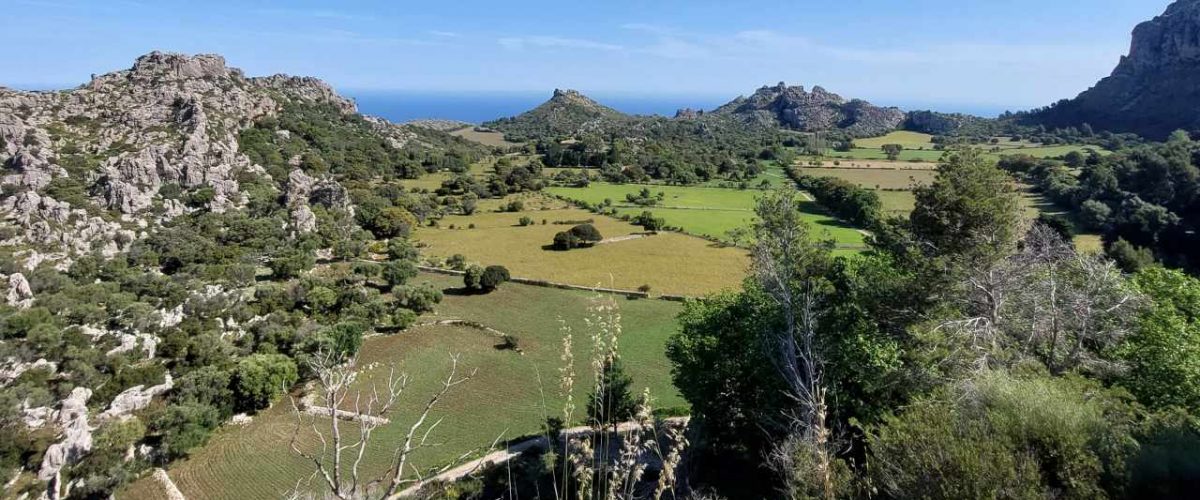 Ariant mediterranes Naturerlebnis auf Mallorca