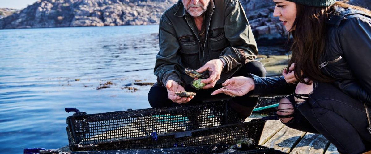 Austern- und Muscheltour in Lysekil