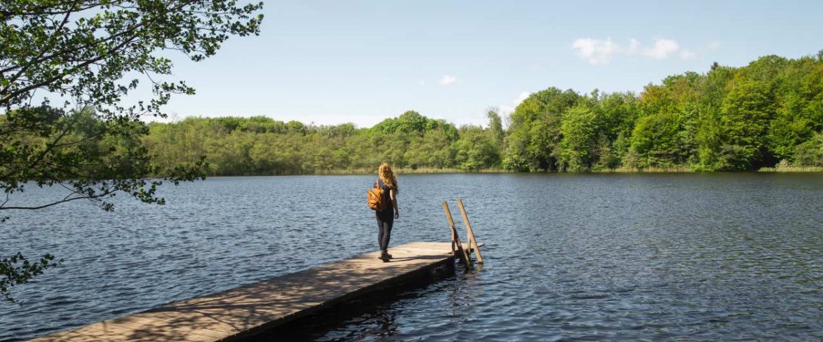 Badesteg in den Avnsø