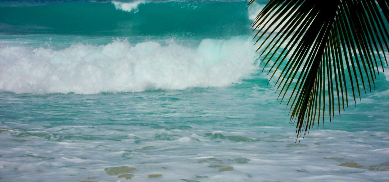 Bathsheba Beach Wellen