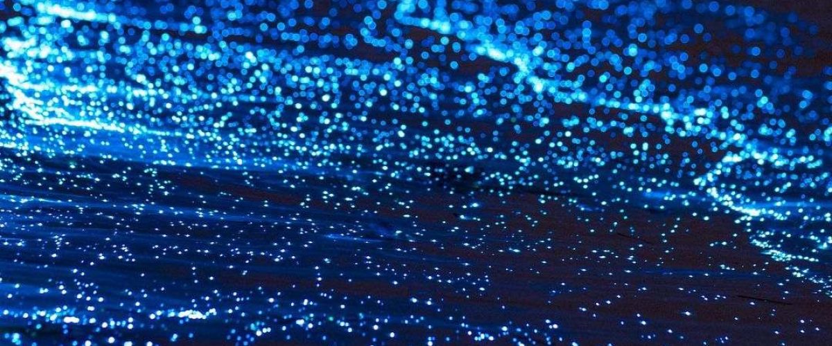 Biolumineszenz Malediven