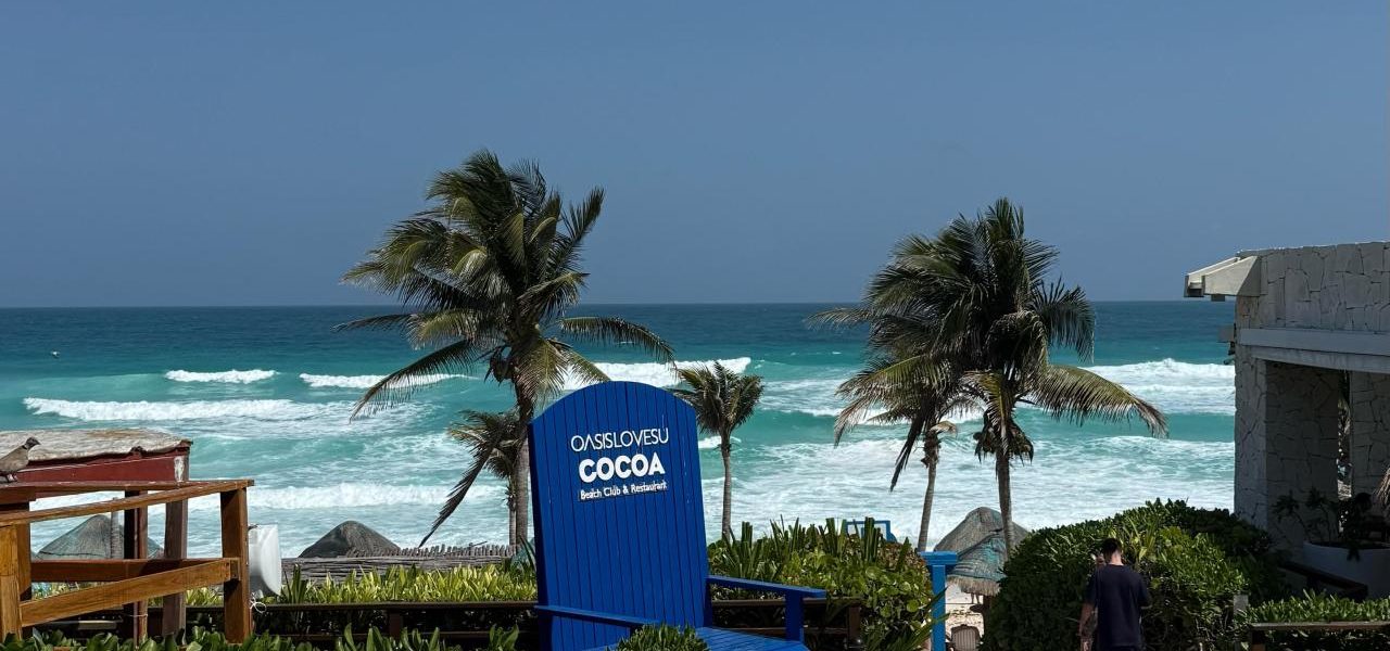 Cancun tropische Pflanzen vor türkisfarbenem Meer
