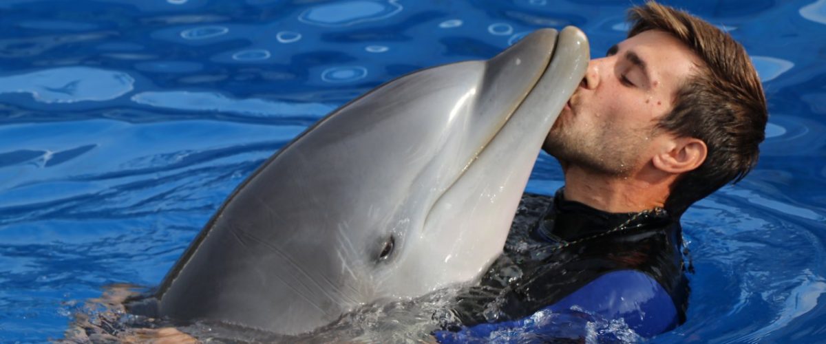 Delfin kuschelt mit Pfleger im Marineland Mallorca