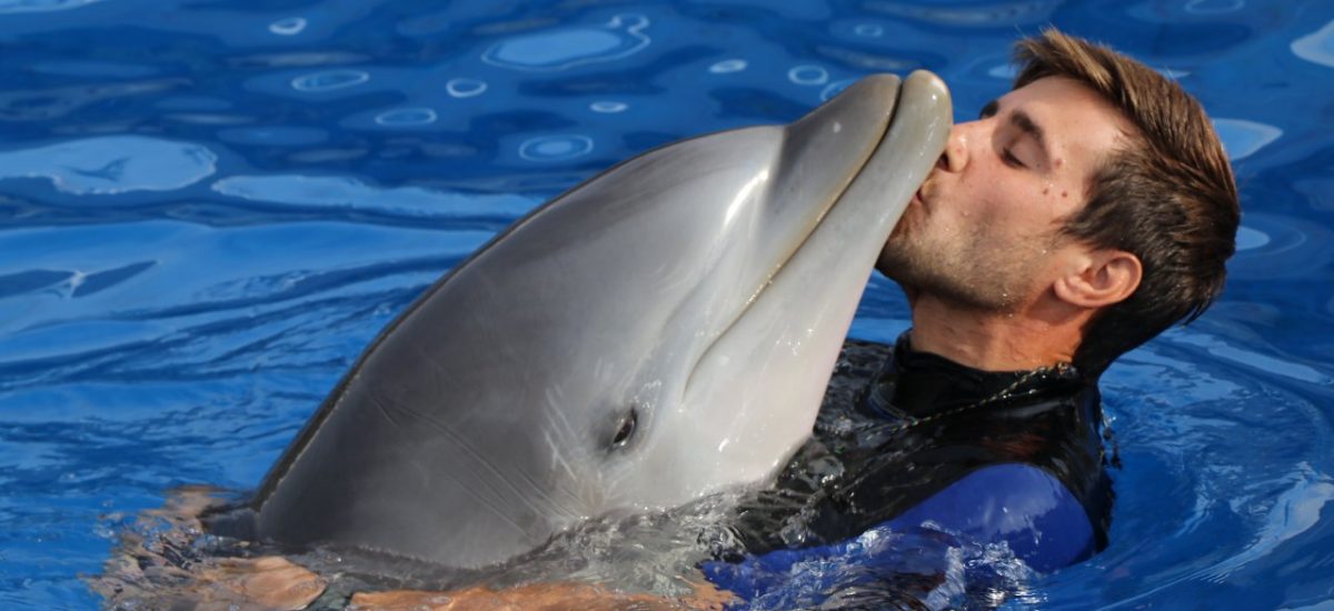 Delfin kuschelt mit Pfleger im Marineland Mallorca