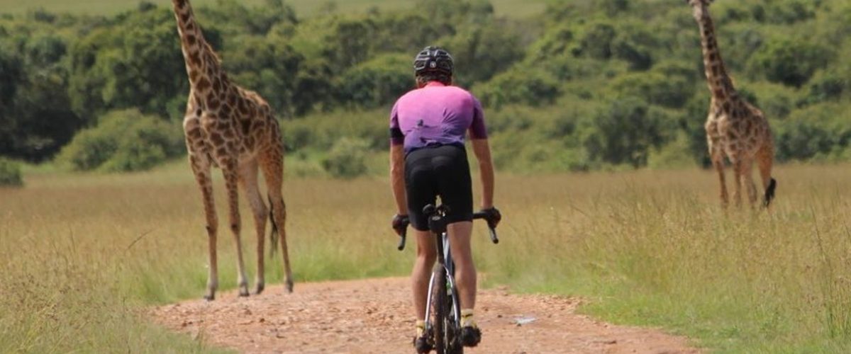 Fahrrad-Safari Masai Mara Giraffen