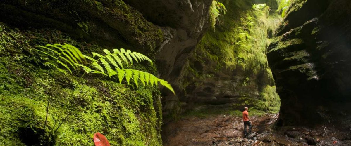 Grüne Umgebung von Puntallana auf La Palma