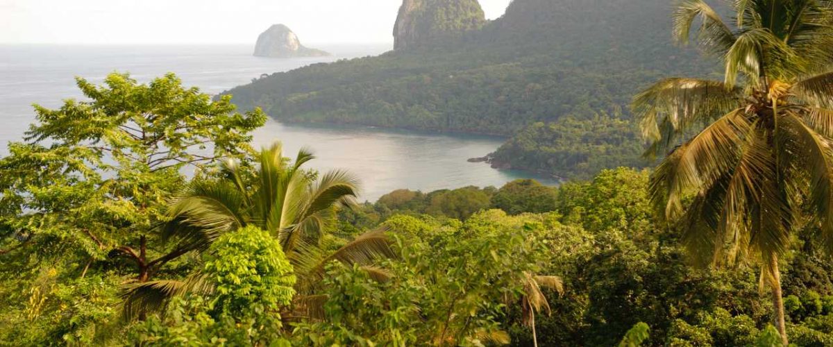 Grünes Paradies São Tomé und Príncipe