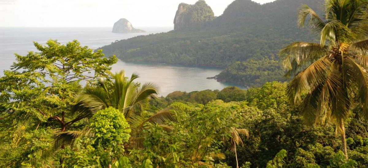 Grünes Paradies São Tomé und Príncipe