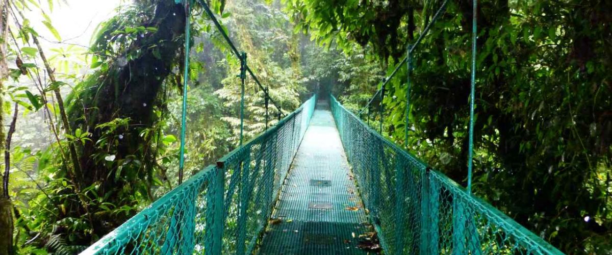 Hängebrücke Monteverde Extremo Park