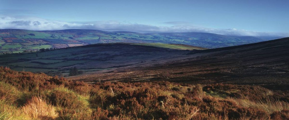 Heidelandschaft in den Sperrins in Irland