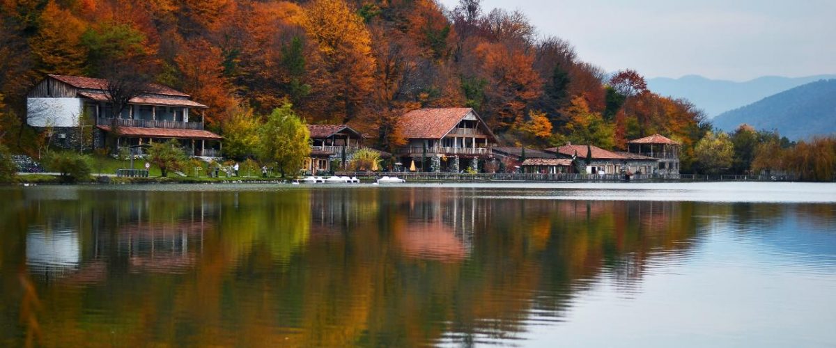 Herbstlicher Wald in der Region Kakheti