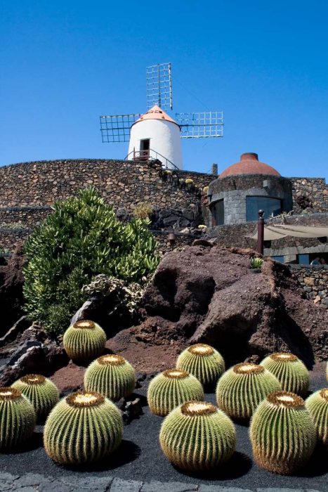 Jardin de Cactus Lanzarote