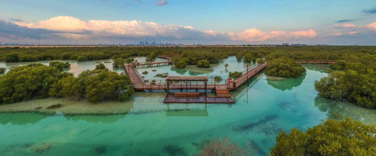 Jubail Mangrove Park grüne Lunge Abu Dhabis