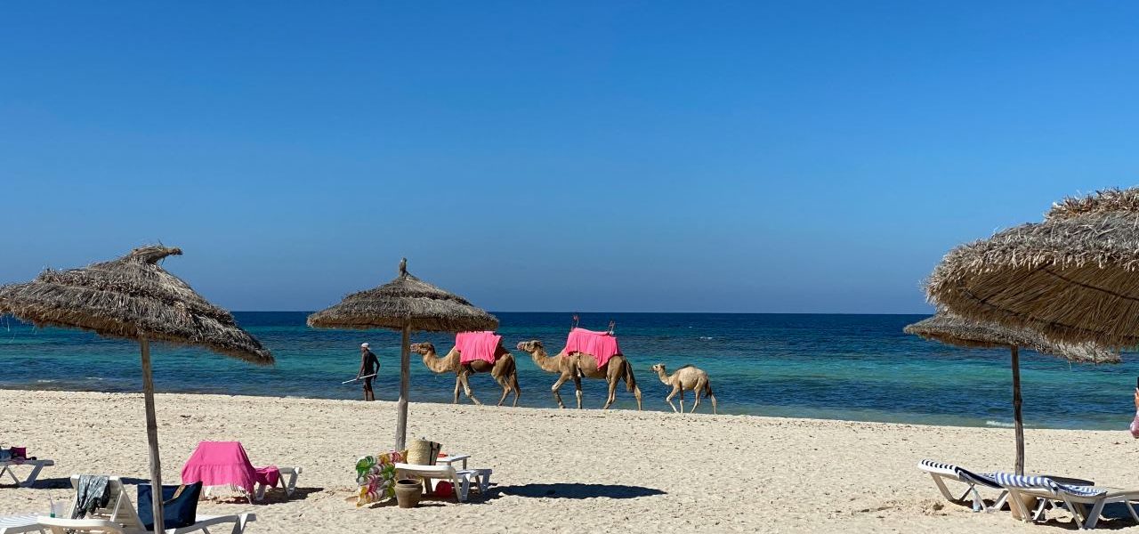 Kamelkarawane am Strand von Djerba
