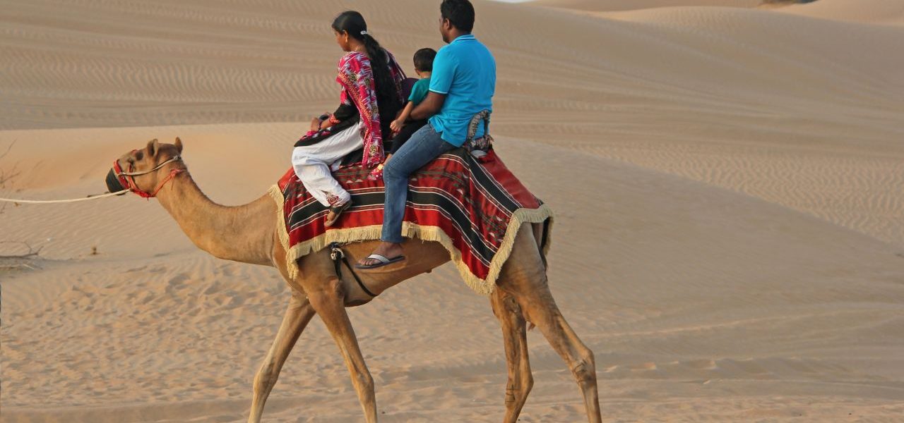 Kameltour mit Familie in Dubais Wüste