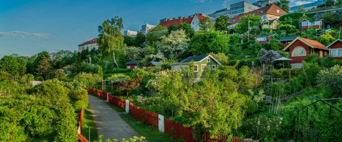 Kleingärten am Hügel in Stockholm