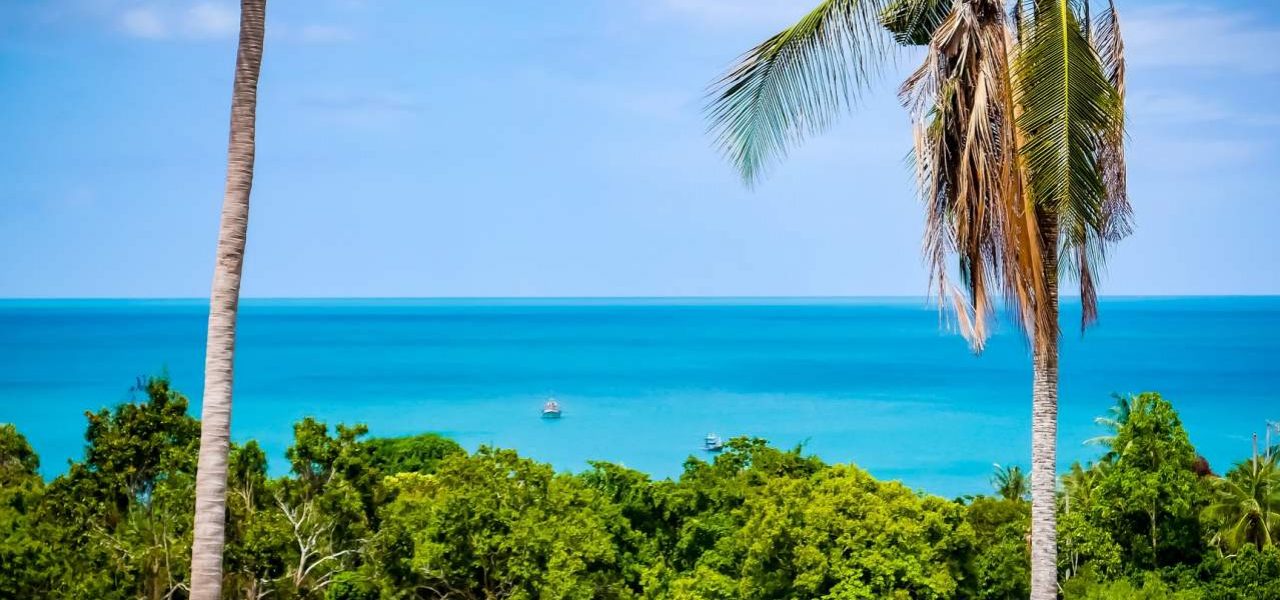 Koh Samui Kokospalmen und Meer